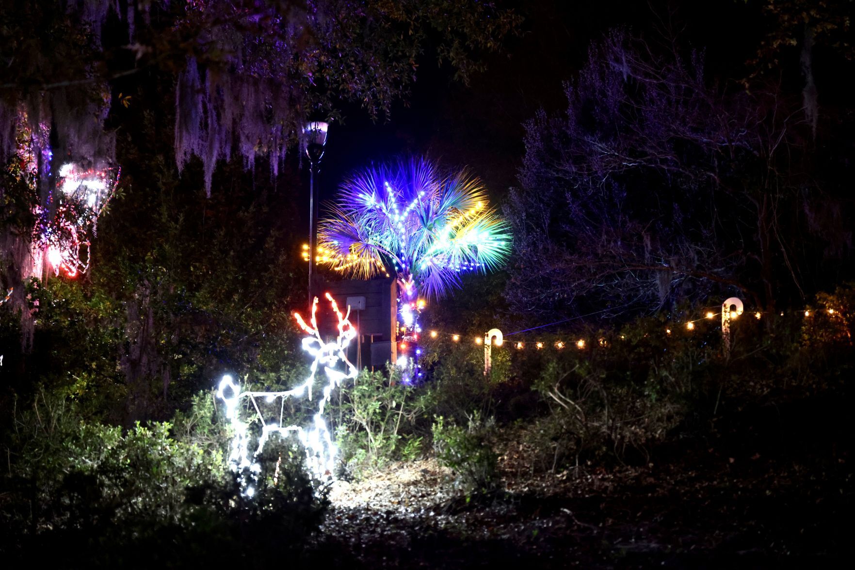 Orangeburg Christmas Lights
